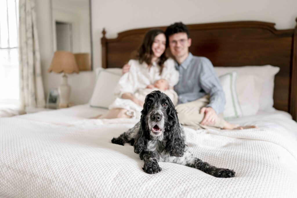 A dog sits prominently in front of his family on their master bed