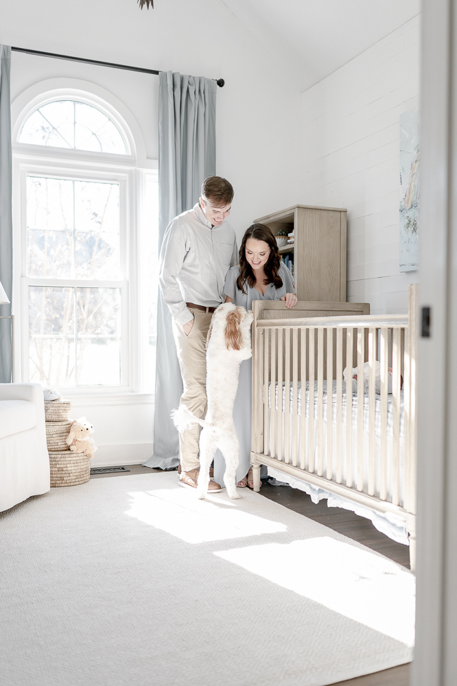Newborn photos at home in Thompson's Station nursery with a dog standing by the crib