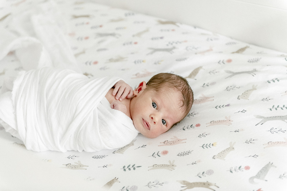 newborn boy lays awake on a rabbit patterned crib sheet