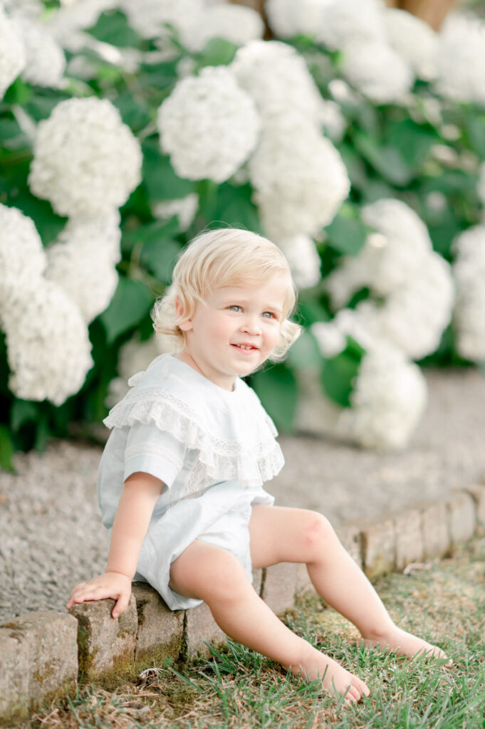 2 year old boy sits in front of white hydrangeas by Franklin TN photographer Kristie Lloyd